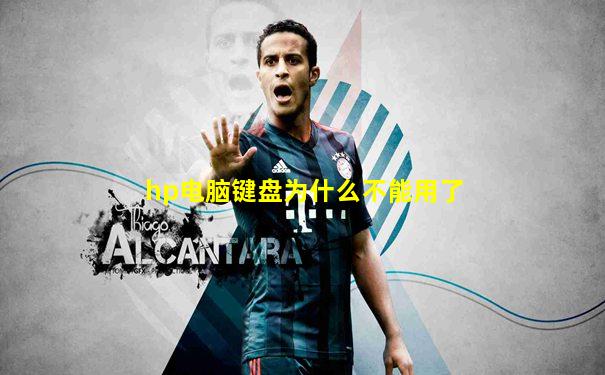 hp电脑键盘为什么不能用了