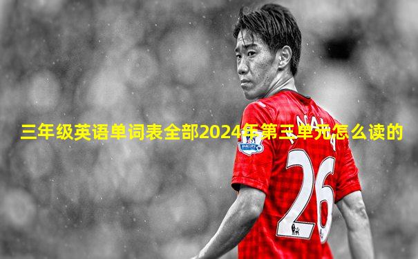 三年级英语单词表全部2024年第三单元怎么读的