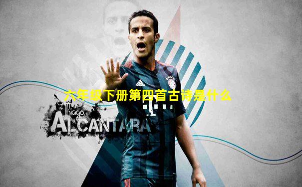 六年级下册第四首古诗是什么