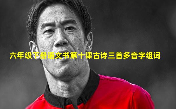 六年级下册语文书第十课古诗三首多音字组词