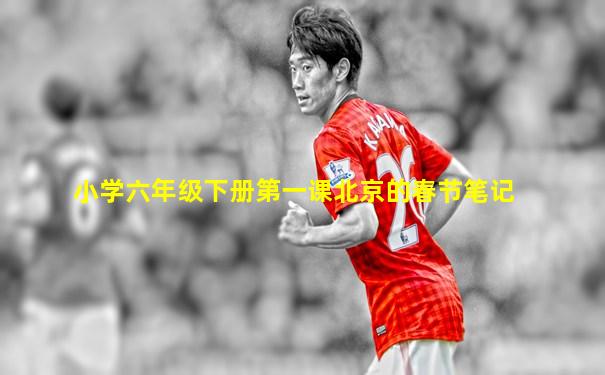 小学六年级下册第一课北京的春节笔记