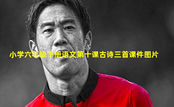 小学六年级下册语文第十课古诗三首课件图片