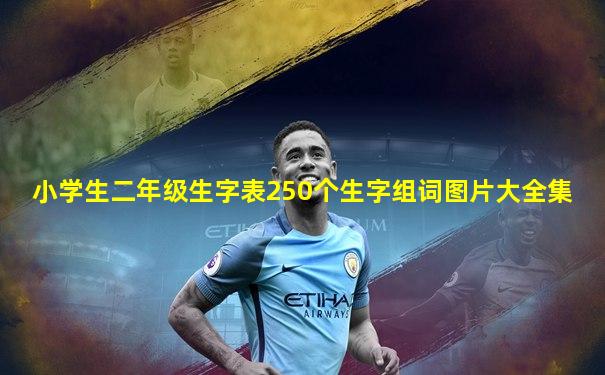 小学生二年级生字表250个生字组词图片大全集