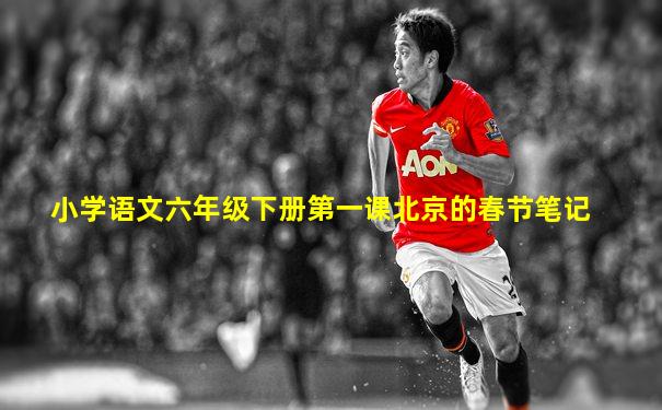 小学语文六年级下册第一课北京的春节笔记