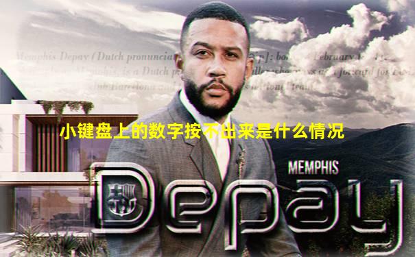 小键盘上的数字按不出来是什么情况