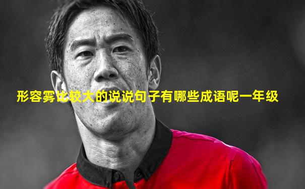 形容雾比较大的说说句子有哪些成语呢一年级