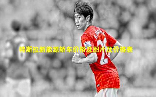特斯拉新能源轿车价格及图片及价格表