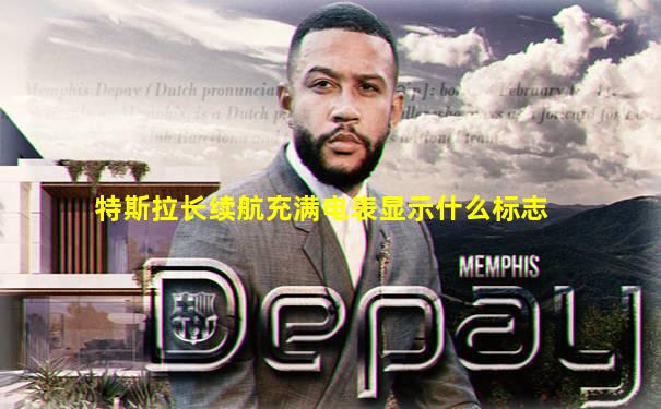 特斯拉长续航充满电表显示什么标志