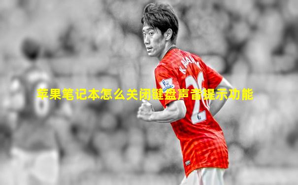苹果笔记本怎么关闭键盘声音提示功能