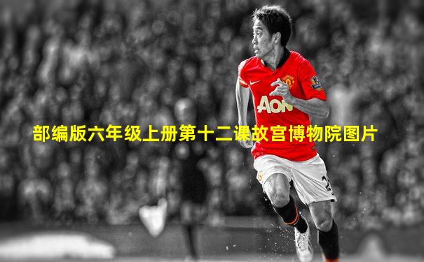 部编版六年级上册第十二课故宫博物院图片