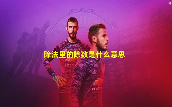 除法里的除数是什么意思