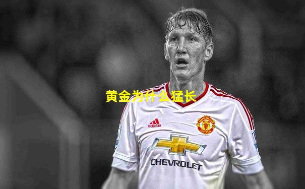 黄金为什么猛长