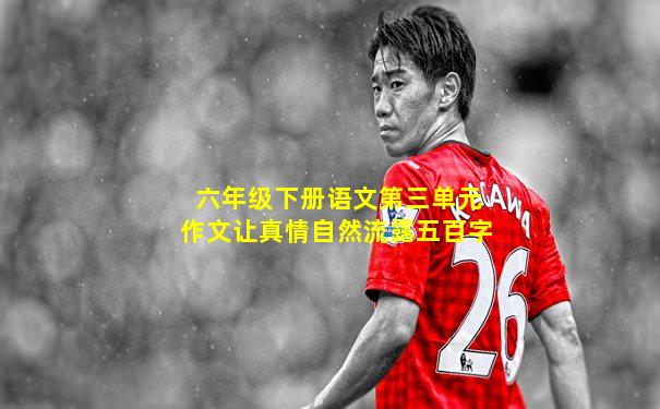 六年级下册语文第三单元作文让真情自然流露五百字