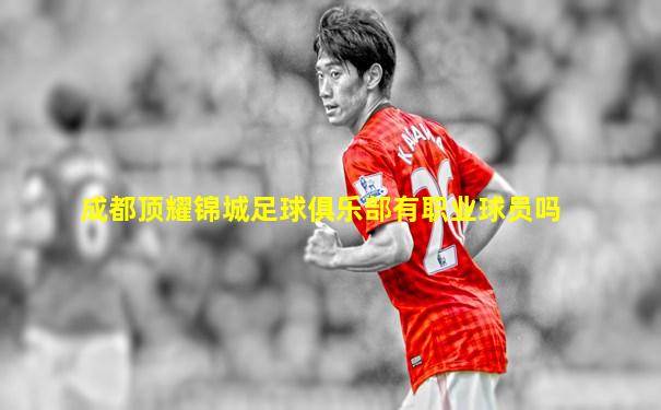 成都顶耀锦城足球俱乐部有职业球员吗