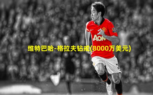 维特巴哈-格拉夫钻戒(8000万美元)