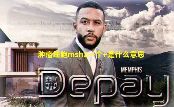 肿瘤细胞msh2一个+是什么意思